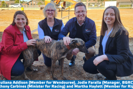 Media Release: New kennelling home for Ballarat greys
